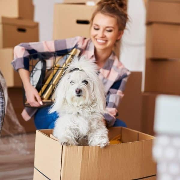Move-in cleaning service Ohio